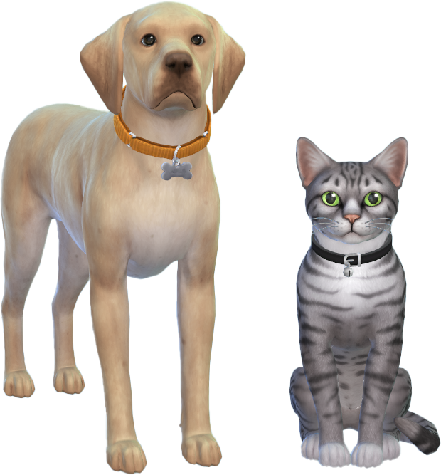 Lab & Slinky