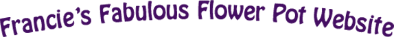 Francie’s Fabulous Flowerpots Website